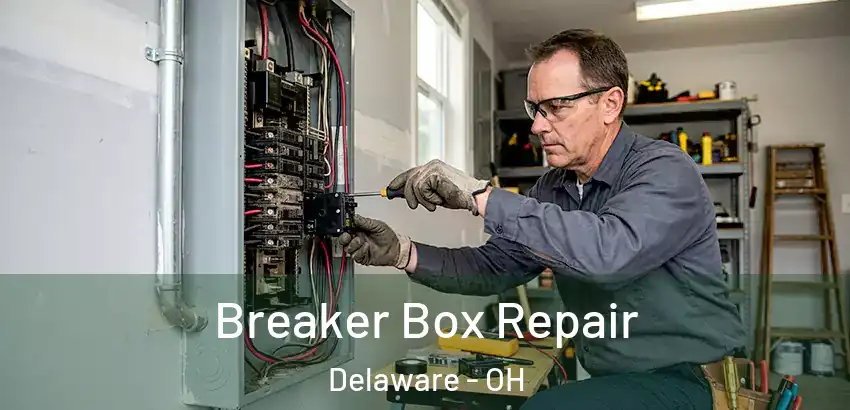 Breaker Box Repair Delaware - OH